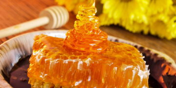 Créditos: depositphotos.com / nito103