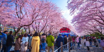 Coréia do Sul - Créditos: depositphotos.com / KR_photograph