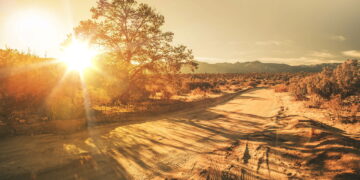 Sertão - Créditos: depositphotos.com / welcomia