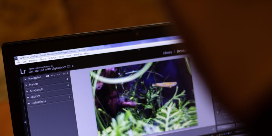 Adobe lança novo aplicativo de edição de imagens gratuito