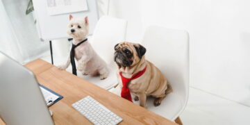 Cachorros inteligentes - Créditos: depositphotos.com / VitalikRadko