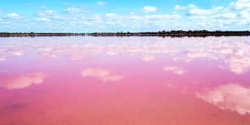 Créditos: depositphotos.com / len4ik40