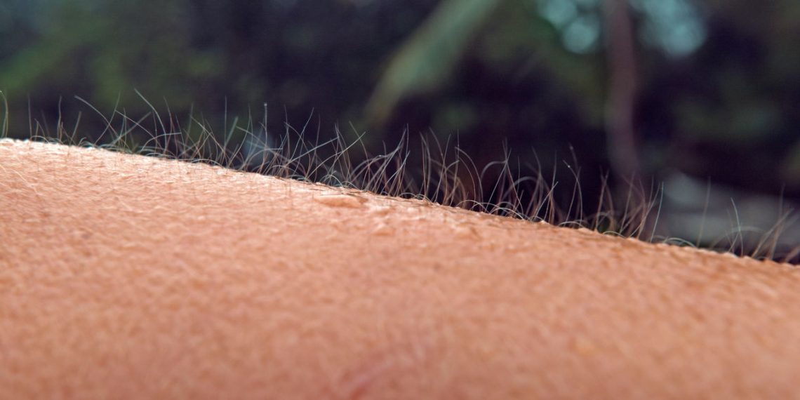 Você sabe por que sentimos arrepios? Entenda agora