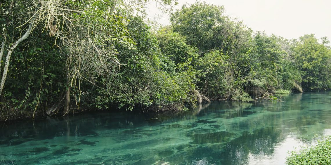 Descubra Bonito: o paraíso do ecoturismo no brasil