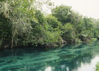 Descubra Bonito: o paraíso do ecoturismo no brasil