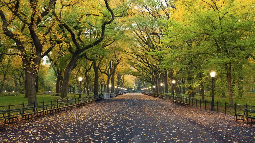Central Park, NY - Créditos: depositphotos.com / rudi1976