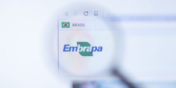 Embrapa - Créditos: depositphotos.com / postmodernstudio