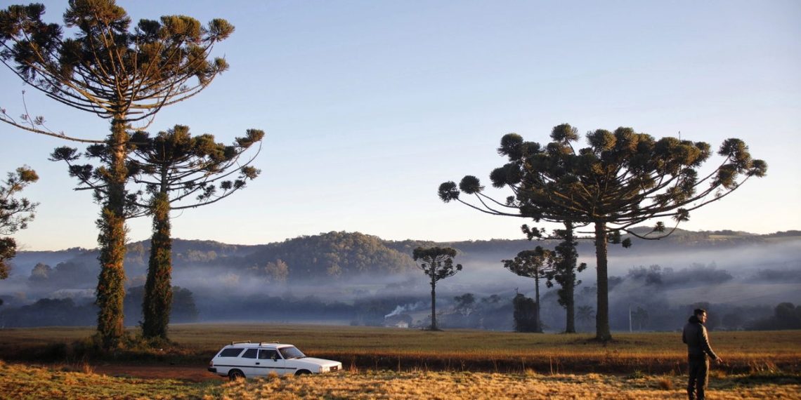 Passo Fundo, RS - Créditos: depositphotos.com / thenews2.com