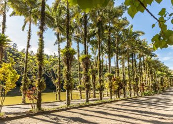 As cidades que se destacam como as mais seguras para se viver no Brasil