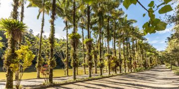 As cidades que se destacam como as mais seguras para se viver no Brasil