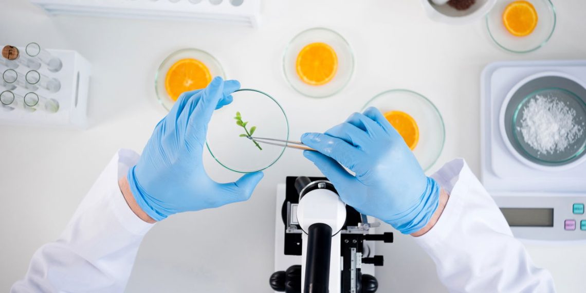 4 fatos interessantes sobre o universo microscópico que você talvez não sabia!