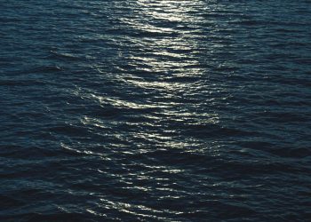 Oceano - Créditos: depositphotos.com / ViktoriiaDyachenko