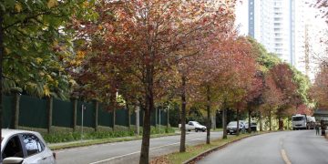 Outono em Curitiba - Créditos: depositphotos.com / thenews2.com