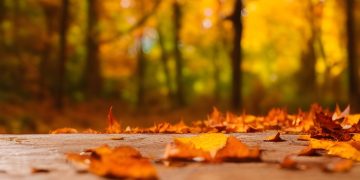 Outono - Créditos: depositphotos.com / prokhorenko9@gmail.com