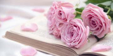 Se você ama Colleen Hoover, esses livros vão te conquistar