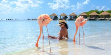 Aruba: a ilha famosa do Caribe