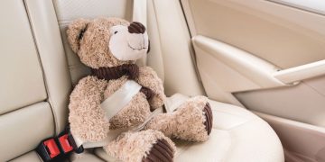 Tabatinga: a capital nacional dos bichos de pelúcia