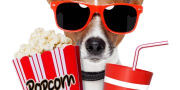 assistir filme - Créditos: depositphotos.com / damedeeso
