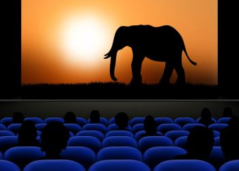 Dicas de séries imperdíveis para amantes da natureza