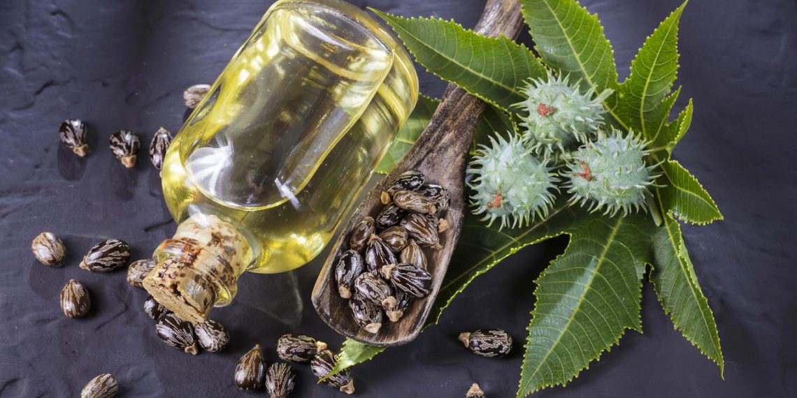 Você sabia que o óleo de rícino é um potente hidratante capilar?