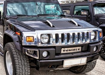 Hummer - Créditos: depositphotos.com / blinow61