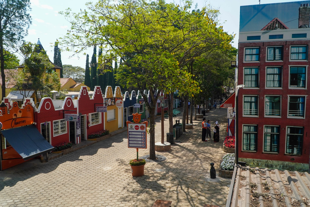 Holambra, SP - Flickr / Foto: Sergio Barzaghi / Governo do Estado de SP