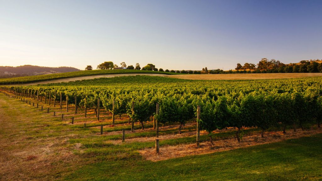 Yarra Valley - Créditos: depositphotos.com / filedimage