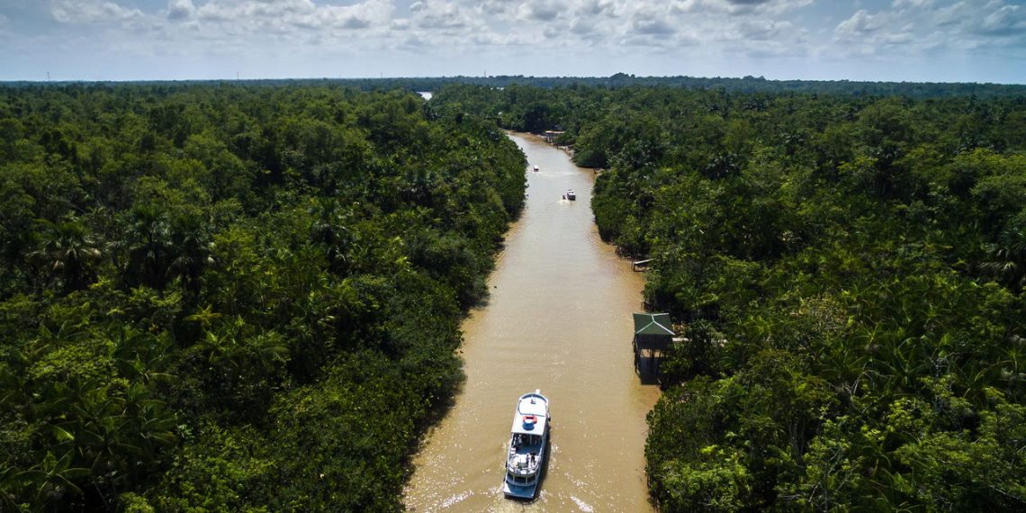 Rio Amazonas - Créditos: depositphotos.com / gustavofrazao