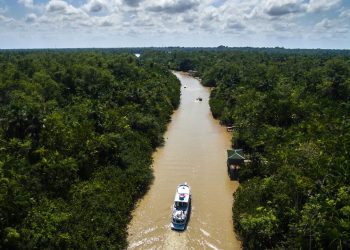 Rio Amazonas - Créditos: depositphotos.com / gustavofrazao