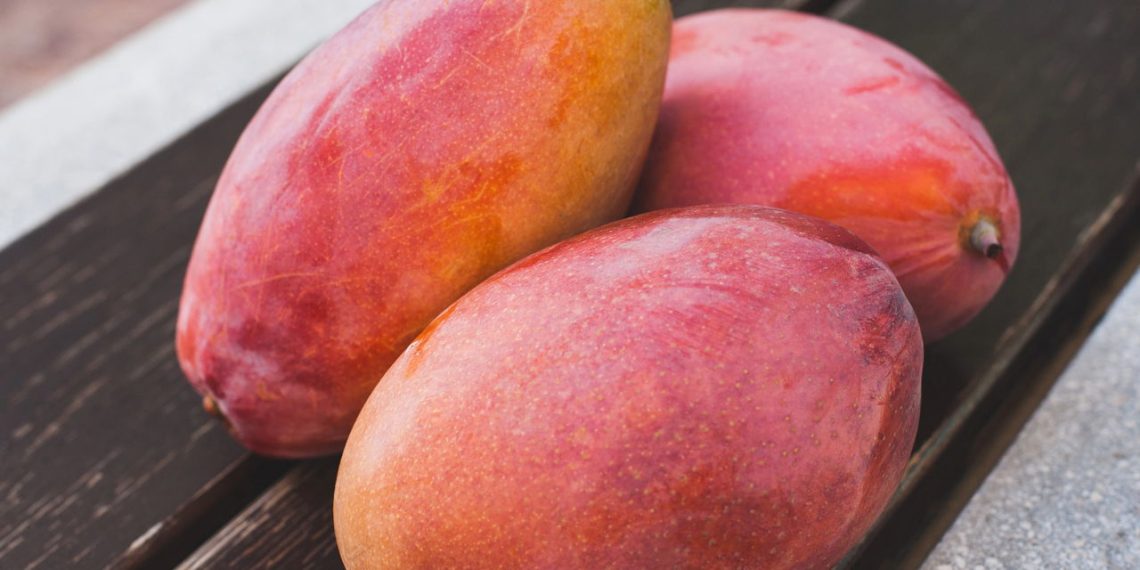 Manga - Créditos: depositphotos.com / ViktoriiaDyachenko