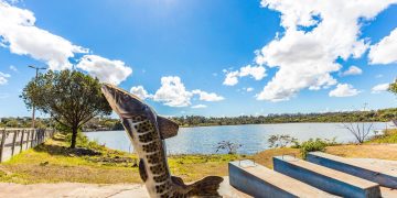 Uberlândia - Créditos: depositphotos.com / paulobaqueta