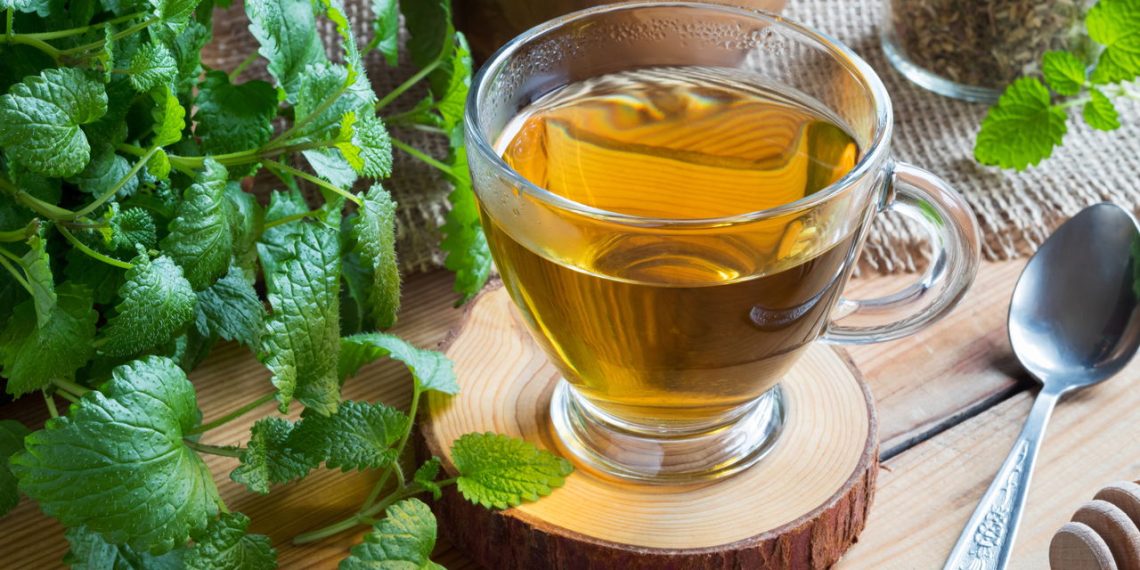 Chá de erva-cidreira - Créditos: depositphotos.com / MadeleineSteinbach