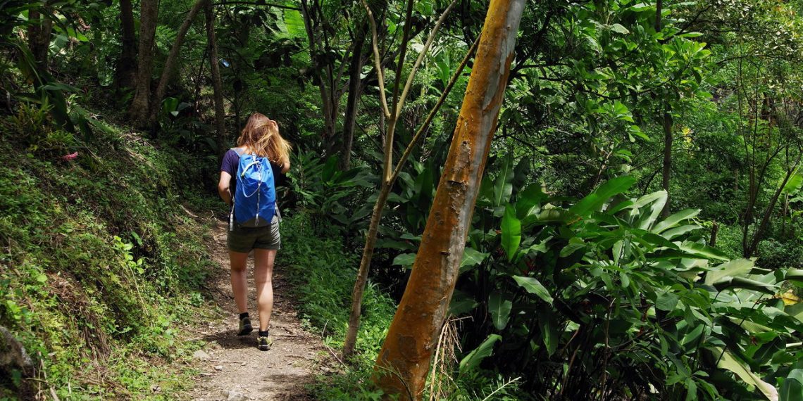 Jovem fazendo trilha na natureza - Créditos: depositphotos.com / Traveler01