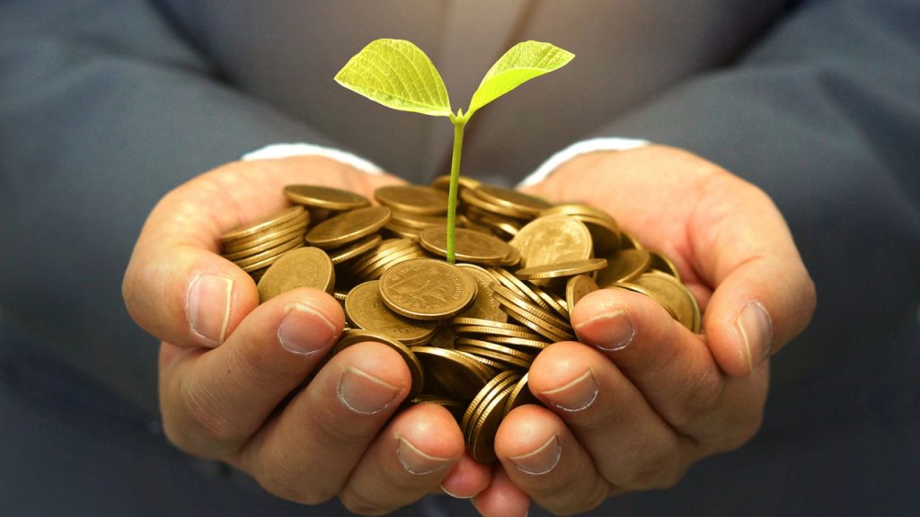 Mulher segurando moedas e uma planta crescendo - Créditos: depositphotos.com / weerapat