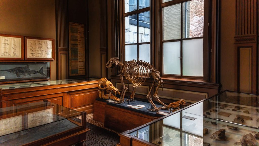 Teylers Museum - Créditos: depositphotos.com / atosan