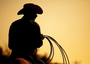 CowBoy - Créditos: depositphotos.com / alptraum