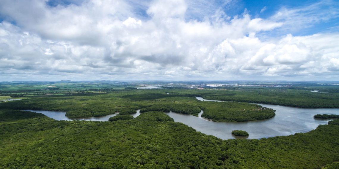 Floresta Amazônica - Créditos: depositphotos.com / gustavofrazao