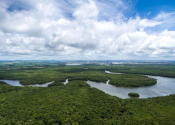Floresta Amazônica - Créditos: depositphotos.com / gustavofrazao