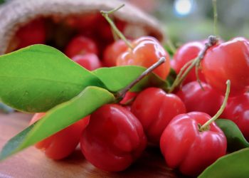 Acerola - Créditos: depositphotos.com / gukguithammasorn.gmail.com