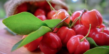 Acerola - Créditos: depositphotos.com / gukguithammasorn.gmail.com