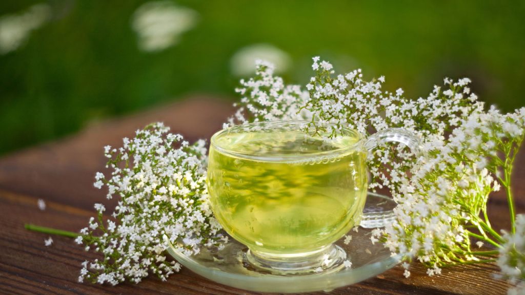 Chá de valeriana - Créditos: depositphotos.com / Solstzia