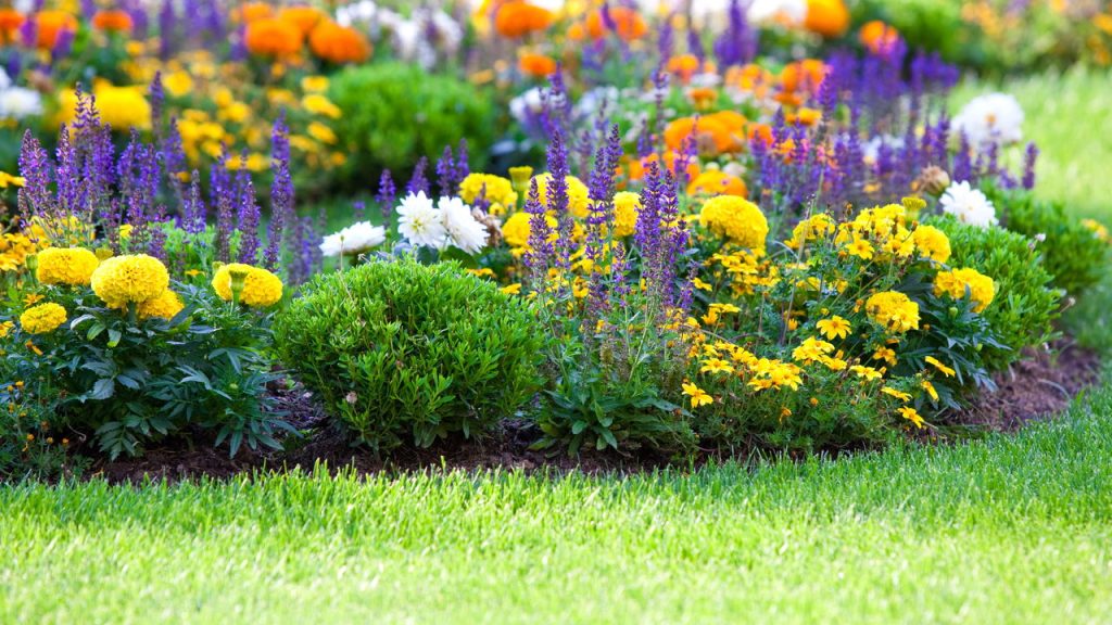 Jardim - Créditos: depositphotos.com / dvoevnore