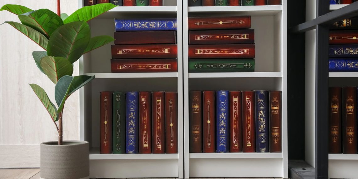 Estante com livros - Créditos: depositphotos.com / serezniy