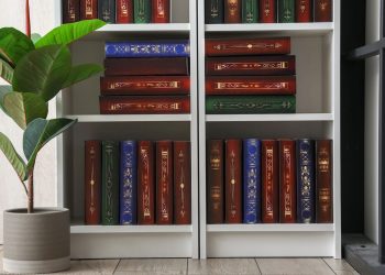 Estante com livros - Créditos: depositphotos.com / serezniy