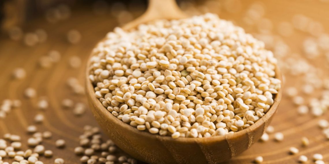 Alimentos naturais ricos em proteínas para implementar na sua alimentação diária