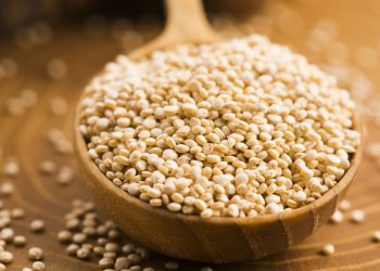 Alimentos naturais ricos em proteínas para implementar na sua alimentação diária