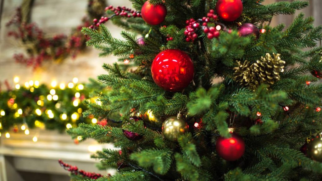 Árvore de Natal - Créditos: depositphotos.com / SergKovbasyuk