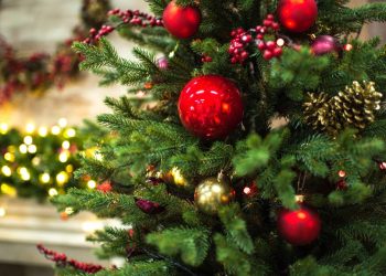 Árvore de Natal - Créditos: depositphotos.com / SergKovbasyuk