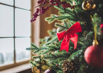 Árvore de Natal perto de janela - Créditos: depositphotos.com / ArturVerkhovetskiy