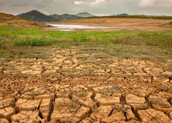 Seca no Brasil - Créditos: depositphotos.com / taciophilip